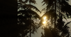 screenshot_2023-06-18_10-46-40.png