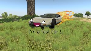 Bolide = fast car.jpg