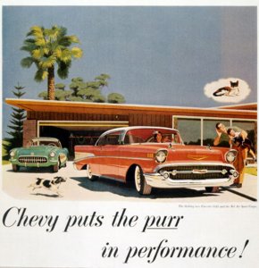 purr-in-performance_101309.jpg