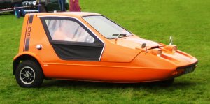 ibishuwigeon.jpg