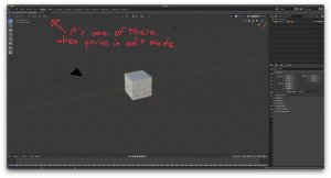 IMG_1098.jpeg
