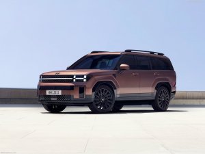 Hyundai-Santa_Fe-2024-1600-03.jpg