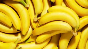 bananas.jpg