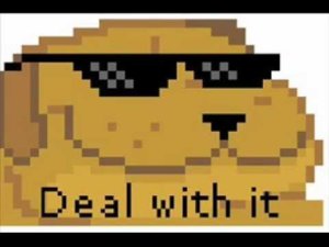 image.jpeg