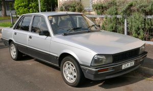 IMG_1155.jpeg