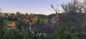 20230810_202647.jpg