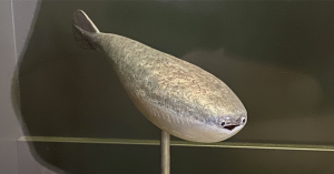 168673546151.png