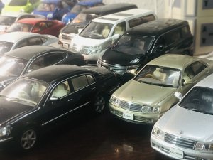IMG_3557.jpeg