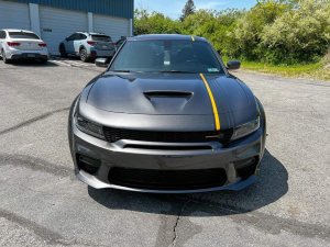 IMG_1683834319104.jpg