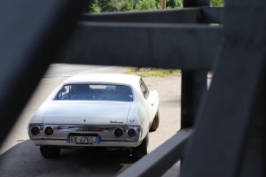IMG_0087.jpg