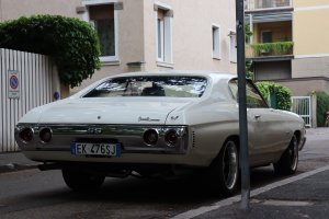 IMG_9425.jpg
