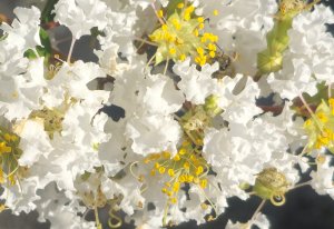 20230905_090613-crop.jpg
