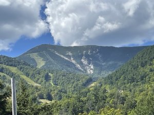 IMG_1157.jpeg