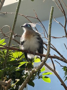 IMG_0982.jpeg