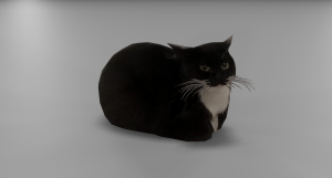 default.png