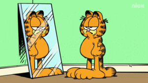 LookingGoodGarfieldGIF.gif