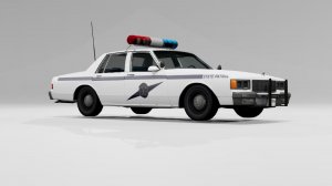 WashingtonStatePatrolBlueLine.jpg
