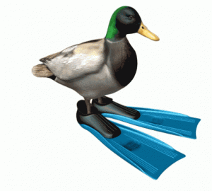 duck-spinning.gif