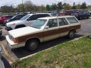 _1984__plymouth_reliant_se_wagon_by_auroraterra_dd73rj5-fullview.jpg