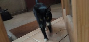 IMG_20230302_1638571451.jpg