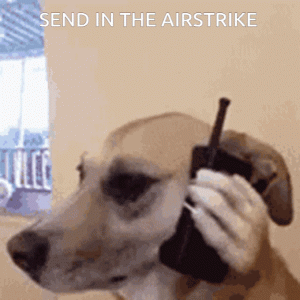 tenor.gif