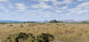 BigPatch-1.jpg