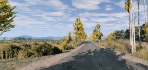 BigPatch-2.jpg