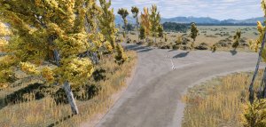 BigPatch-5.jpg