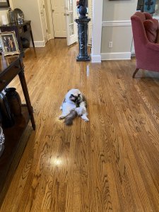 IMG_0235.jpeg