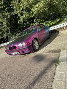 IMG_2954.jpeg