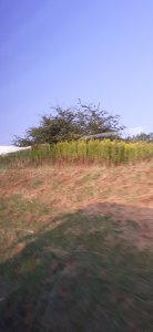 20230818_070416.jpg