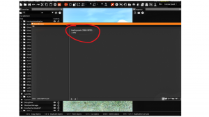 Untitleddesign11.png