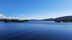 20230824_162012.jpg
