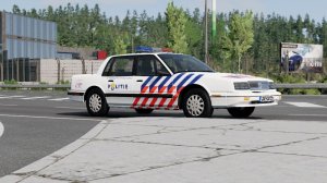 dutch_police.jpg