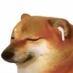 upload_2023-12-21_6-47-32.jpeg