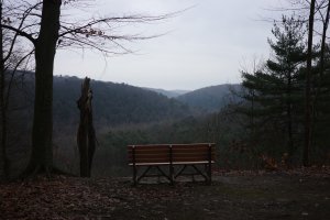 R0000080.jpg