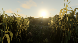 screenshot_2024-01-11_18-12-24.png