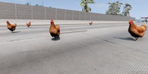 default.jpg