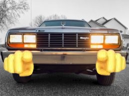 492528l.jpg