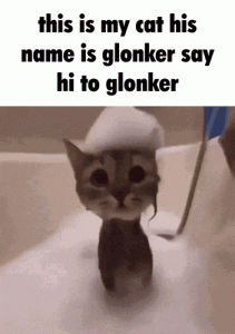 hi-glonker-glonker.gif