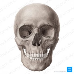 eEsfu70EOMx1TlBf5tYAiA_Go0bFvBvzClwSivuaiELg_head_01.jpg