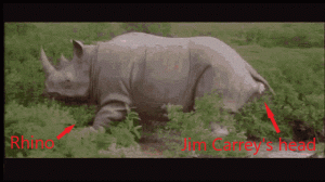 Rino.gif