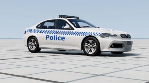 SaloonAUPolice.jpg