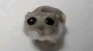 download.jpeg