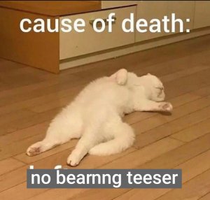 beam_teaser.jpg