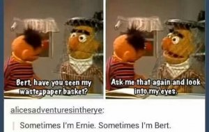 Bert-and-Ernie-Sesame-Street-Meme-7.jpg