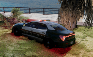 LeonardCountySheriffsOfficeGTAVIThane.png