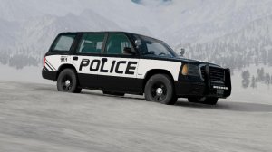 NFSTRFederalConcealedPoliceA.jpg