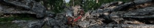 3BeamNGHIROCHIRACEWAYRockClimbingTrackwithDSERIESScreamercopy.jpg