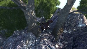 3clift.jpg